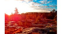 Городской фотоконкурс «Природа Финского залива» 2014